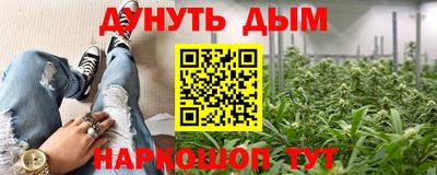 прущие крисы Заводоуковск