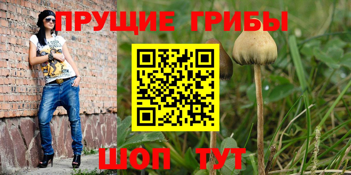 Псилоцибиновые грибы мухоморы  Вход с VPN  Нефтеюганск 